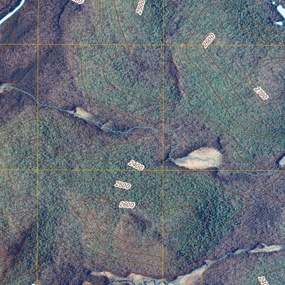 Spruce Lake Mountain, NY (2010, 24000-Scale) Preview 3