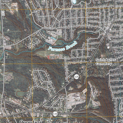 Syracuse West, NY (2010, 24000-Scale) Preview 3