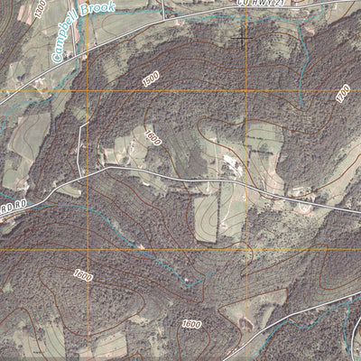Unadilla Forks, NY (2010, 24000-Scale) Preview 3