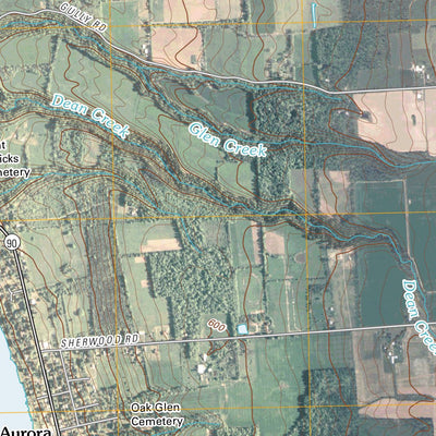Union Springs, NY (2010, 24000-Scale) Preview 3