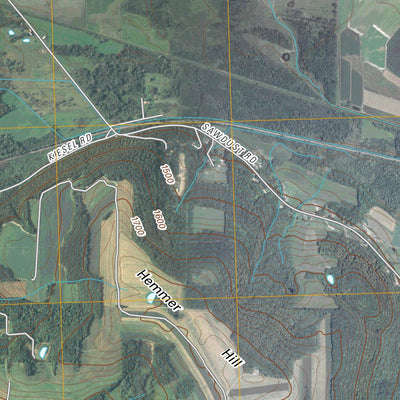 Wayland, NY (2010, 24000-Scale) Preview 2
