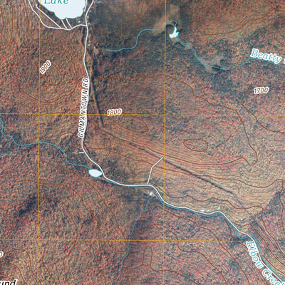 Wells, NY (2010, 24000-Scale) Preview 2