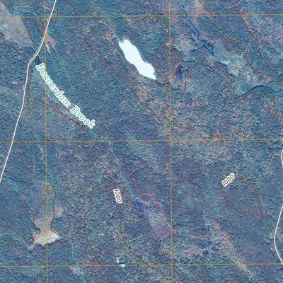 Westdale, NY (2010, 24000-Scale) Preview 3