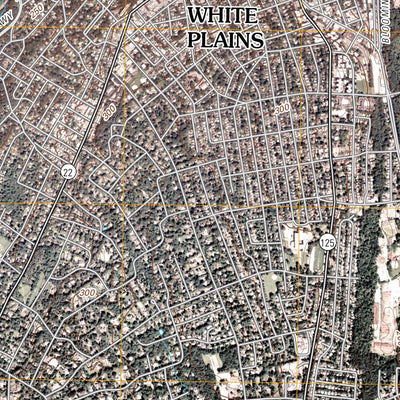 White Plains, NY (2010, 24000-Scale) Preview 3