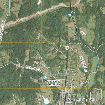 Senecaville, OH (2010, 24000-Scale) Preview 3