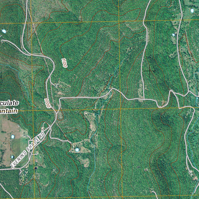 Blackgum, OK (2010, 24000-Scale) Preview 3