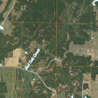 Leon North, OK-TX (2010, 24000-Scale) Preview 3