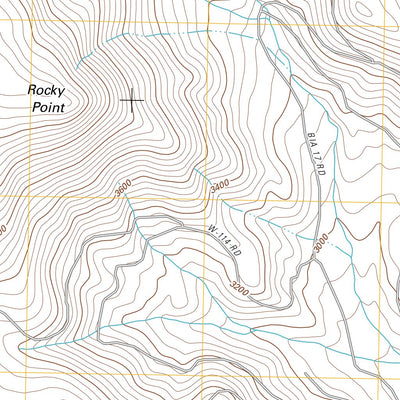Beaver Butte, OR (2011, 24000-Scale) Preview 3