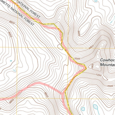 Cowhorn Mountain, OR (2011, 24000-Scale) Preview 3