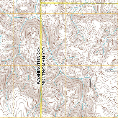 Dixie Mountain, OR (2011, 24000-Scale) Preview 3