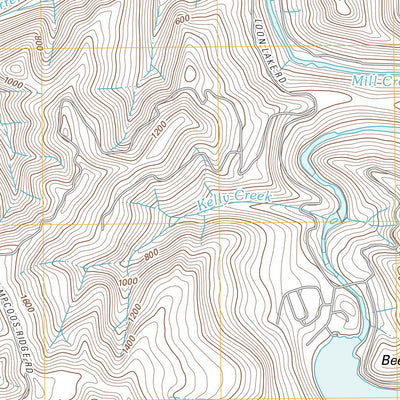 Loon Lake, OR (2011, 24000-Scale) Preview 3
