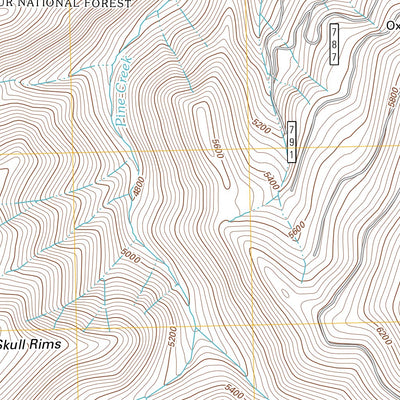 Pine Creek Mountain, OR (2011, 24000-Scale) Preview 3