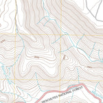 Shitike Butte, OR (2011, 24000-Scale) Preview 2
