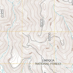Twin Lakes Mountain, OR (2011, 24000-Scale) Preview 3