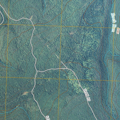Black Moshannon, PA (2010, 24000-Scale) Preview 3