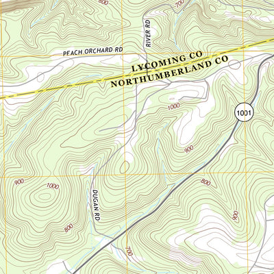 Muncy, PA (2013, 24000-Scale) Preview 3