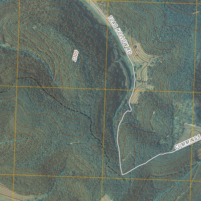 Oswayo, PA-NY (2010, 24000-Scale) Preview 3