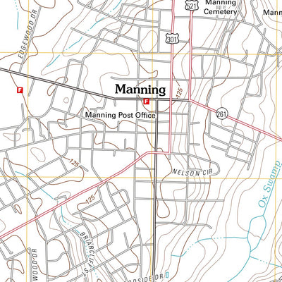 Manning, SC (2011, 24000-Scale) Preview 3
