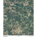 Beech Bluff, TN (2010, 24000-Scale) Preview 1