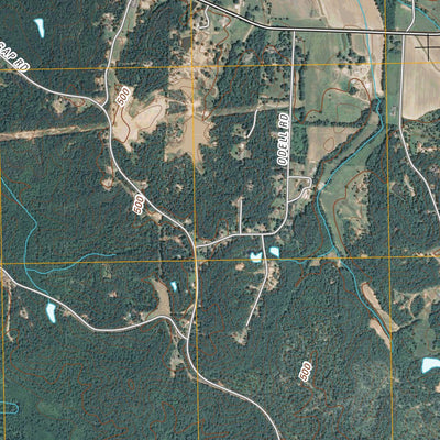 Beech Bluff, TN (2010, 24000-Scale) Preview 3