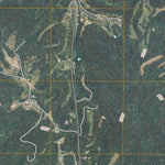 Bethpage, TN (2010, 24000-Scale) Preview 3