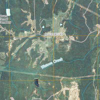 Bruceton, TN (2010, 24000-Scale) Preview 2