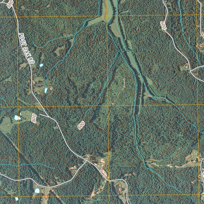 Bruceton, TN (2010, 24000-Scale) Preview 3
