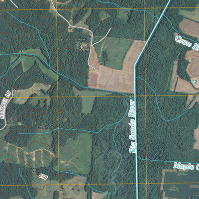Buena Vista, TN (2010, 24000-Scale) Preview 2