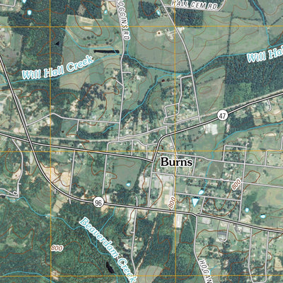 Burns, TN (2010, 24000-Scale) Preview 2