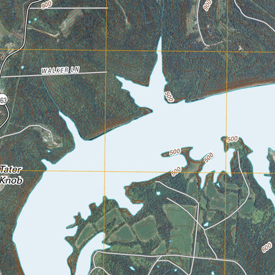 Carthage, TN (2010, 24000-Scale) Preview 2
