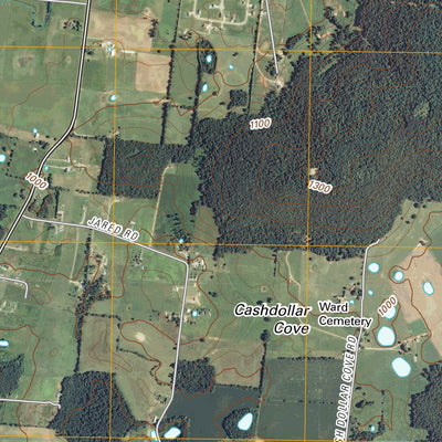 Cassville, TN (2010, 24000-Scale) Preview 2