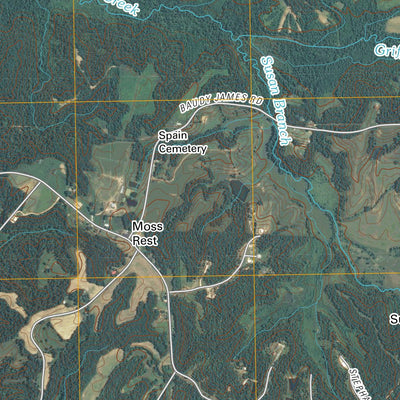 Cedar Grove, TN (2010, 24000-Scale) Preview 2