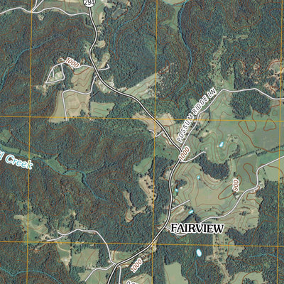 Dale Hollow Reservoir SE, TN-KY (2010, 24000-Scale) Preview 2