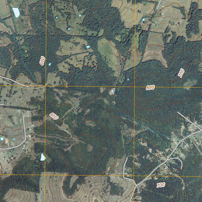 Dixon Springs, TN (2010, 24000-Scale) Preview 3