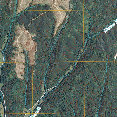 Eagle Creek, TN (2010, 24000-Scale) Preview 3