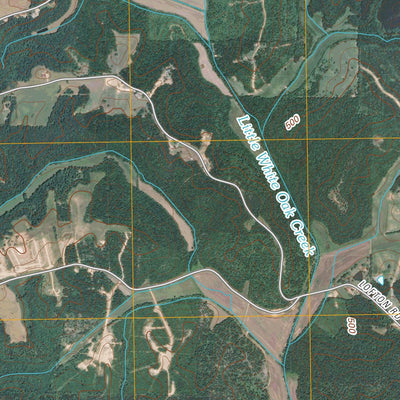 Enville, TN (2010, 24000-Scale) Preview 2