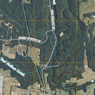 Flintville, TN (2010, 24000-Scale) Preview 3