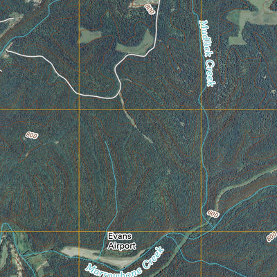 Forest Grove, TN (2010, 24000-Scale) Preview 2
