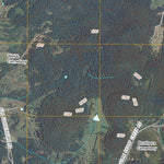 Fosterville, TN (2010, 24000-Scale) Preview 3