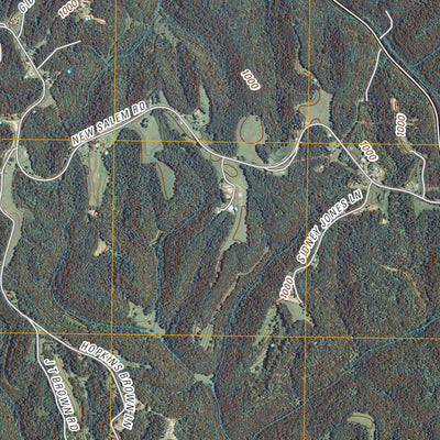 Gainesboro, TN (2010, 24000-Scale) Preview 3