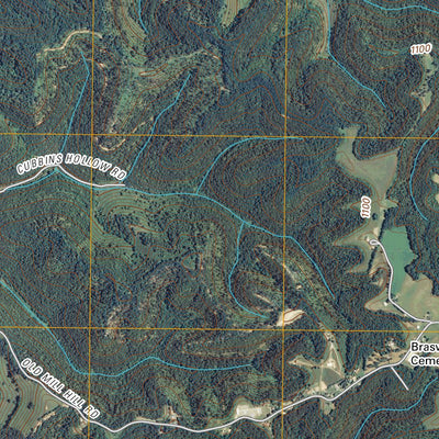 Gassaway, TN (2010, 24000-Scale) Preview 3