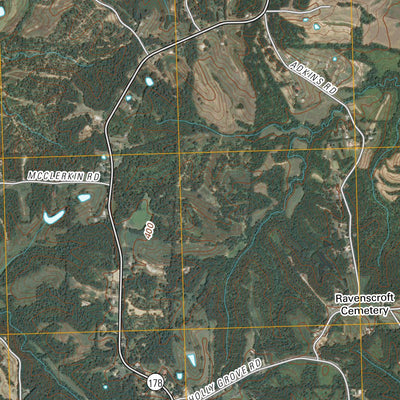 Gilt Edge, TN (2010, 24000-Scale) Preview 3
