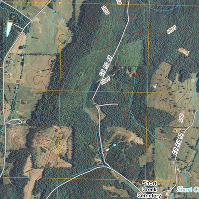 Goodfield, TN (2010, 24000-Scale) Preview 2