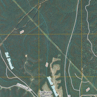 Gordonsburg, TN (2010, 24000-Scale) Preview 2