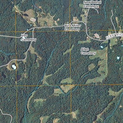 Henry, TN (2010, 24000-Scale) Preview 3