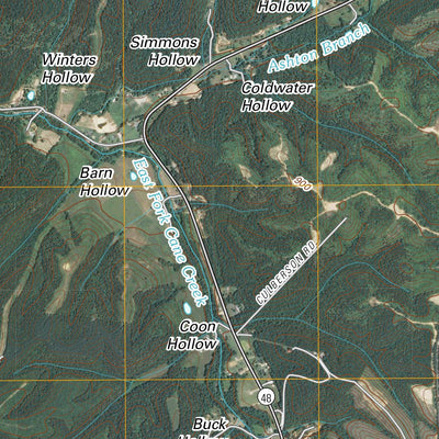 Hohenwald, TN (2010, 24000-Scale) Preview 3