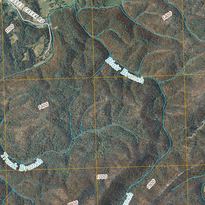 Kinzel Springs, TN (2010, 24000-Scale) Preview 3