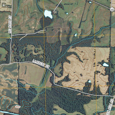Lambert, TN (2010, 24000-Scale) Preview 2