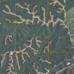 Leatherwood, TN (2010, 24000-Scale) Preview 3