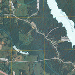 Lexington, TN (2010, 24000-Scale) Preview 2
